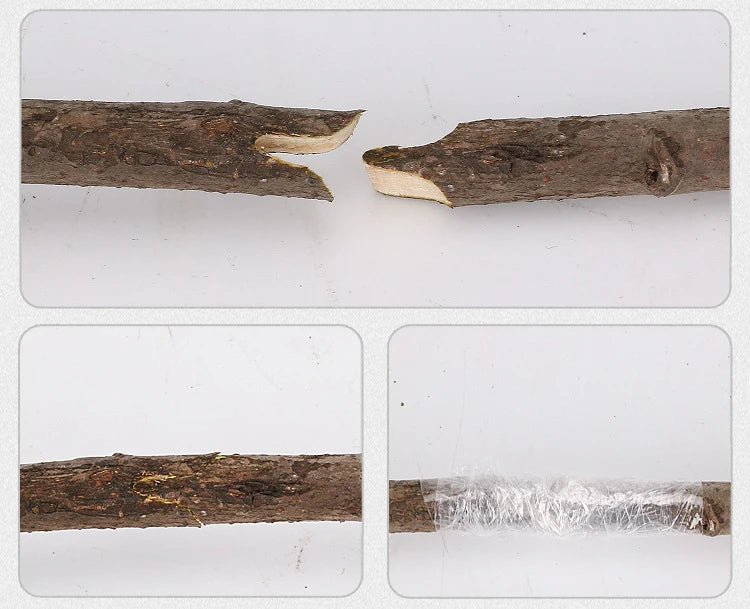 Grafting Pruner Garden Tool