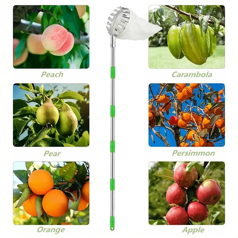 Fruit Picker With Telescopic Pole